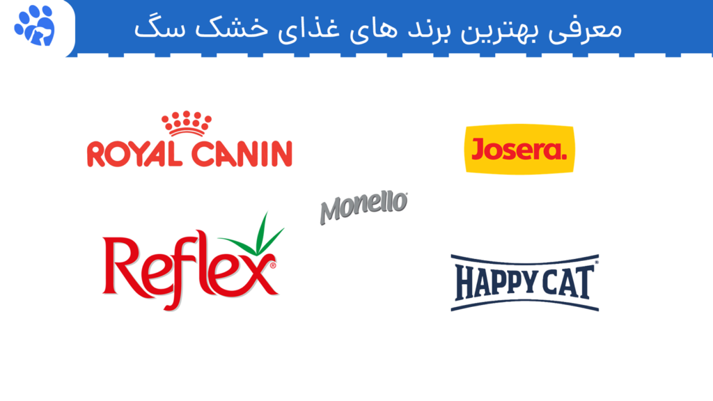 بهترین برند غذای سگ