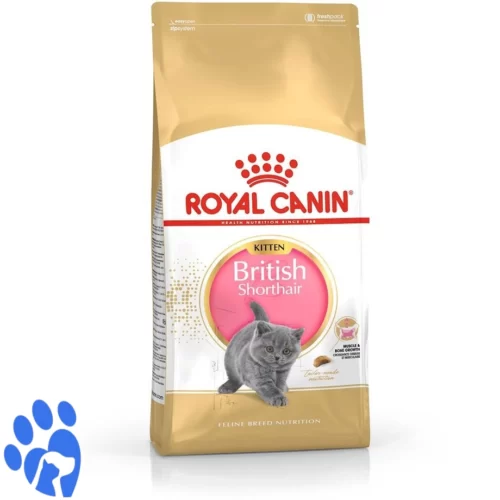 خانه 15 غذای گربه رویال کنین بریتیش کیتن