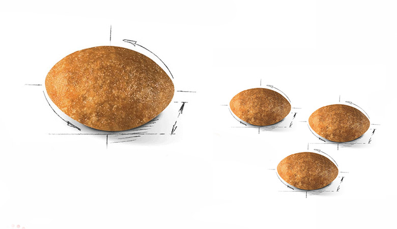 غذا گربه رویال کنین پرشین ادالت