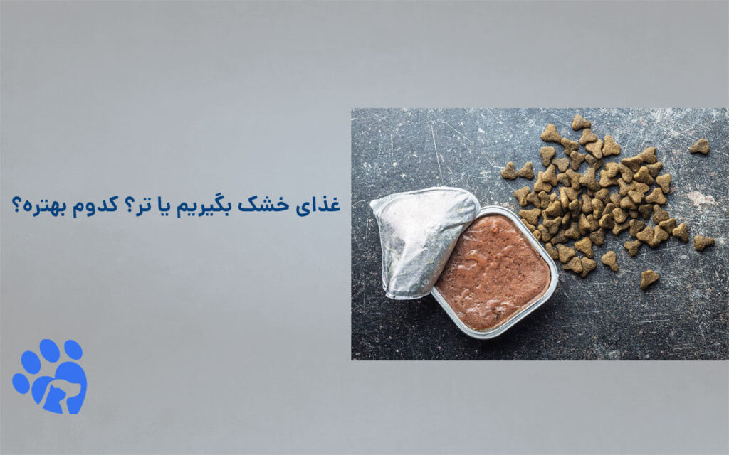 غذا خشک بگیریم یا تر