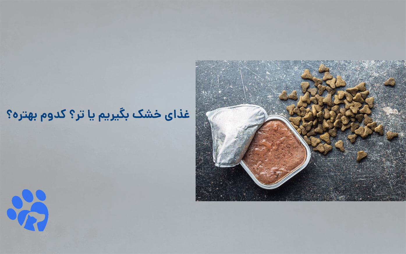 غذا خشک بگیریم یا تر