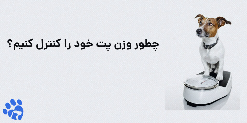 چطور وزن پت خود را کنترل کنیم